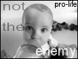 Not_the_enemy